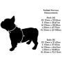 Red Dingo Padded Harness
