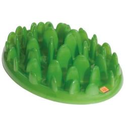 Green Interactive Feeder