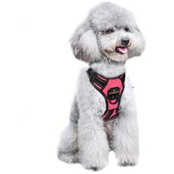MASBRILL No Pull Dog Harness, No Choke Pet Vest Harness with Front and Back 2 Lead Clips, Adjustable Soft Padded Dog Vest with Easy Control Handle