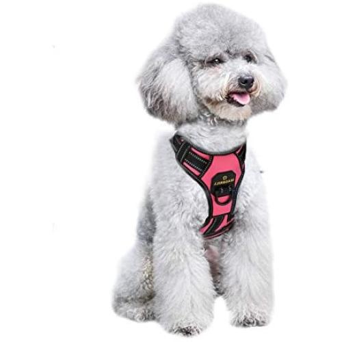 MASBRILL No Pull Dog Harness, No Choke Pet Vest Harness with Front and Back 2 Lead Clips, Adjustable Soft Padded Dog Vest with Easy Control Handle