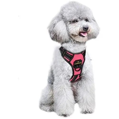 MASBRILL No Pull Dog Harness, No Choke Pet Vest Harness with Front and Back 2 Lead Clips, Adjustable Soft Padded Dog Vest with Easy Control Handle MASBRILL No Pull Dog Harness, No Choke Pet Vest Harness with Front and Back 2 Lead Clips, Adjustable Soft Padded Dog Vest with Easy Control Handle