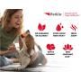 Petkin Pet Wipes – Big n Thick Extra Large Germ Removal Pet Wipes – Cleans Face, Ears, Body and Eye Area – Super Convenient, Ideal for Home or Travel- Wipes for Pets