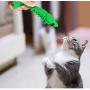WeTest Natural Rubber Interactive Cat Toothbrush Catnip Toys - Refillable Catnip Shrimp Shape Pet Cleaning Chew Toothbrush Toy（Green） (LJ-ZXS-120202)