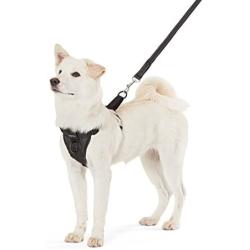 Amazon Basics Dog Harness Leash