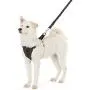 Amazon Basics Dog Harness Leash Amazon Basics Dog Harness Leash