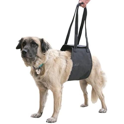 Max and Neo Dog Lift Support and Rehab Harness for Dogs with Weak Rear Legs - We Donate a Harness to a Dog Rescue for Every Harness Sold