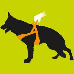Ferplast Ergocomfort Nordic Dog Harness