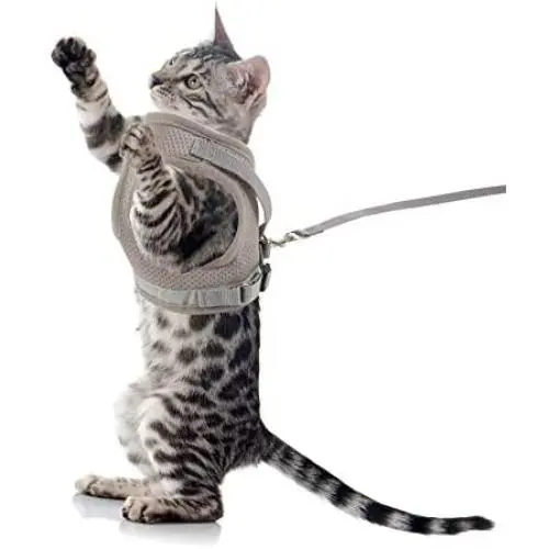 HEQUSigns Adjustable Cat Harness, Dog Vest Harness Set Escape Proof Walking Cat Jacket, Easy Walk Puppy Harness Training For Dog/Cat/Kitten/Rabbit/Ferret/Chicken Outfit Harness Outdoor Travel HEQUSigns Adjustable Cat Harness, Dog Vest Harness Set Escape Proof Walking Cat Jacket, Easy Walk Puppy Harness Training For Dog/Cat/Kitten/Rabbit/Ferret/Chicken Outfit Harness Outdoor Travel