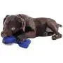Hugs Pet Products Arctic Freeze Chew Toy Hugs Pet Products Arctic Freeze Chew Toy