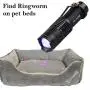 Keyfit Tools GlowMax Ringworm & Fungus Detection for Dogs, Cats, Clothing Bedding Furniture. Find Ringworm & Athletes Foot at The Source Avoid Reinfection & Target Cream & Shampoo Treatments