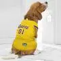 NBA PET Apparel. - Licensed Jerseys for Dogs & Cats Available in 25 Basketball Teams & 5 Sizes Cute pet Clothing for All Sports Fans. Best NBA Dog Gear NBA PET Apparel. - Licensed Jerseys for Dogs & Cats Available in 25 Basketball Teams & 5 Sizes Cute pet Clothing for All Sports Fans. Best NBA Dog Gear