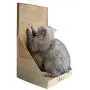 Pawmosa Cat Scratcher, Vertical Cardboard Cats Scratching Post, Lounge Bed as Furniture Protector and Home Décor Include Free Catnip (Honey) Pawmosa Cat Scratcher, Vertical Cardboard Cats Scratching Post, Lounge Bed as Furniture Protector and Home Décor Include Free Catnip (Honey)