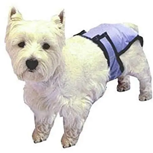 PoochPad XX-Large PoochPant Diaper PoochPad XX-Large PoochPant Diaper