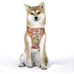 Nickelodeon All Stars Dog Harness for Large Dogs