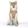 Nickelodeon All Stars Dog Harness for Large Dogs