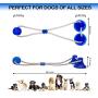 Tudoremade Suction Cup Dog Toy with Glove-Double Suction Dog Toy with Pet Grooming Glove Durable Dog Ball Dog Rope Toy Dog Teeth Cleaning Dog Chew Toy Tug of War Multifunction Pet Molar Bite Toy;