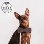 Belly Shiny Dog I 16.9 fl oz I Protects & Moisturizes Dog Skin & Fur I 100% Organic, Vegan & Natural Ingredients I for Dogs & Puppies I for All Types of Fur & Hair Belly Shiny Dog I 16.9 fl oz I Protects & Moisturizes Dog Skin & Fur I 100% Organic, Vegan & Natural Ingredients I for Dogs & Puppies I for All Types of Fur & Hair