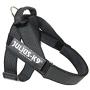 Julius-K9 IDC Color & Gray Belt Harness for Dogs