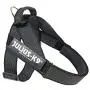 Julius-K9 IDC Color & Gray Belt Harness for Dogs