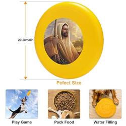 Pet Frisbee Flying Disc Dog Toy - Multifunction Light of The World Greg Olsen