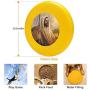 Pet Frisbee Flying Disc Dog Toy - Multifunction Light of The World Greg Olsen