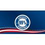 Pet Factory U.S.A. Beef Hide Chip Rolls Chews for Dogs (18 Pack), Small/5''