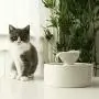 Pet Drinking Ceramic Fountain Water Feeder Cat Automatic Water Dispenser Smart Water Circulation Bowl 2L Dog Water Bottle Pet Drinking Ceramic Fountain Water Feeder Cat Automatic Water Dispenser Smart Water Circulation Bowl 2L Dog Water Bottle