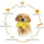 OUTFANDIA Dog Toys for Aggressive Chewers Large Breed, Squeaky Dog Toys for Medium Large Dogs, 100% Natural Rubber