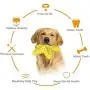OUTFANDIA Dog Toys for Aggressive Chewers Large Breed, Squeaky Dog Toys for Medium Large Dogs, 100% Natural Rubber OUTFANDIA Dog Toys for Aggressive Chewers Large Breed, Squeaky Dog Toys for Medium Large Dogs, 100% Natural Rubber