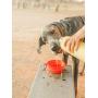 Collapsible Silicone Dog Bowl, Food Grade Silicone,BPA Free Foldable Expandable Cup Dish Pet Raised Dog/Cat Food Water Feeding Portable (Set of 2)