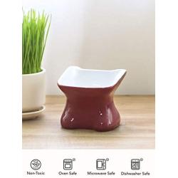 LE TAUCI Ceramic Cat Bowl Elevated, Raised Cat Food Bowl 4 Ounce Cat Dish for Food and Water for Small Cat Dog