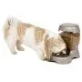 Petmate Pet Café Feeder