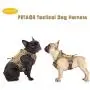PETAGE Dog Harness and Dog Leash 6FT Heavy Duty Dog Leash with 2 Padded Handles