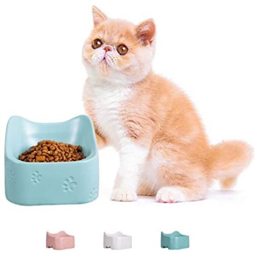 Jemirry Raised Cat Bowls Ceramic Cat Dish Bulldog Food Bowl for Cat Small Pup Dog Pet, Anti-Vomit cat Bowl