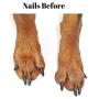 DiggerDog Nail File Stress Free Alternative to Dog Nail Clippers and Dog Nail Grinders (Blue)
