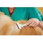 Andis Pet DeShedding Tool (65760)