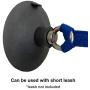 LAST LEASH Dog Bathing & Grooming Suction Cup - Keeps Dog in Bathtub or Shower - Any Size Dog