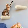 Wall Mounted Cat Furniture Cat Tree Activity Scratching Posts, Floating Kitten Shelving Perches, Kitty Climbing Racks, Handmade