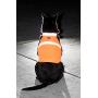 2PET Dog Hunting Vest and Safety Reflective Vest - Used for High Visibility - Protects Pets from Cars & Hunting Accidents in Both Urban and Rural Environments - Choose Color and Size