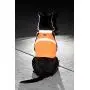 2PET Dog Hunting Vest and Safety Reflective Vest - Used for High Visibility - Protects Pets from Cars & Hunting Accidents in Both Urban and Rural Environments - Choose Color and Size 2PET Dog Hunting Vest and Safety Reflective Vest - Used for High Visibility - Protects Pets from Cars & Hunting Accidents in Both Urban and Rural Environments - Choose Color and Size