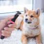VWMYQ-Pet Grooming Tool - 2 Sided Undercoat Rake for Cats and Dogs - Safe Dematting Comb for Easy Mats & Tangles Removing - No More Nasty Shedding and Flying Hair
