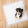 Hartz Home Protection Lavender Scented Odor Eliminating Gel Dog Pads, 30'' x 30'' XXL, 80 Count