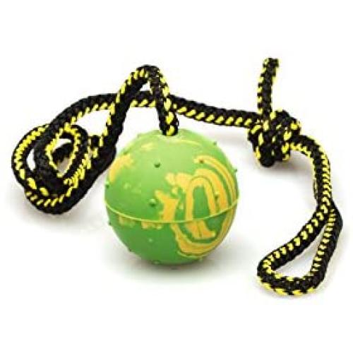 Puppy Dog Ball, K9 Ball, Solid Rubber Ball on Rope for Reward, Fetch, Play 2'' (50mm)