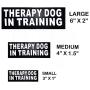 Doggie Stylz Set of 2 Reflective Therapy Dog in Training Removable Patches with Hook Backing for Working Dog Harnesses & Vests. Durable and Interchangeable - Comes in 3 Sizes Small, Medium and Large