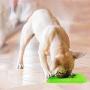 Dog Lick Mat with Slow Feeder Dog Bowl, Shovel and Brush – Premium Slow Feeders Dog Bowl Mat – Pet Food Mat with Accessories – Reduces Anxiety and Boredom – Ideal for Raw, Wet Foods, Treats
