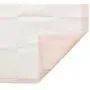 MidWest Dry Paws Training and Floor Protection Pads, 100-Count MidWest Dry Paws Training and Floor Protection Pads, 100-Count