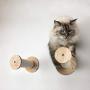 Wall Cat Scratching Post, Cat Scratcher Tree,cat Shelf Cat Wall Perch Sisal Rope for Cat Scratcher Cat Climber Wall Cat Furniture Cat Bed Cat Tower Wall Cat Toy, Wood