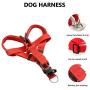 Dog Leash and Harness Set - Durable Dog Leash & Adjustable Cozy Dog Harness for Easy Control Small, Medium Dogs - Stops Dog from Pulling and Choking on Walks