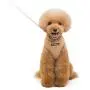 Dolebean 2021 Newest No Pull Dog cat Harness Vest for Small Medium Large Dogs in Training Harnesses Dolebean 2021 Newest No Pull Dog cat Harness Vest for Small Medium Large Dogs in Training Harnesses