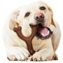 Nylabone Ergonomic Hold & Chew Wishbone Power Chew Durable Dog Toy Bison Flavor